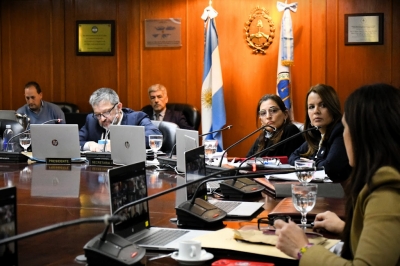 Actividades de Comisión: Disciplina y Selección de Magistrados