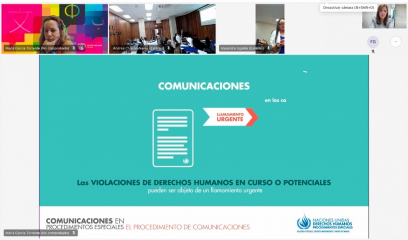 Panel internacional sobre las Comunicaciones y Procedimientos Especiales del Consejo de Derechos Humanos de la ONU