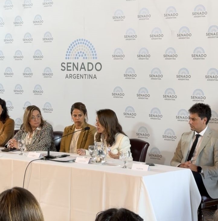 Jornada Internacional sobre Violencia Contra Niñas, Niños y Adolescentes: intercambios globales