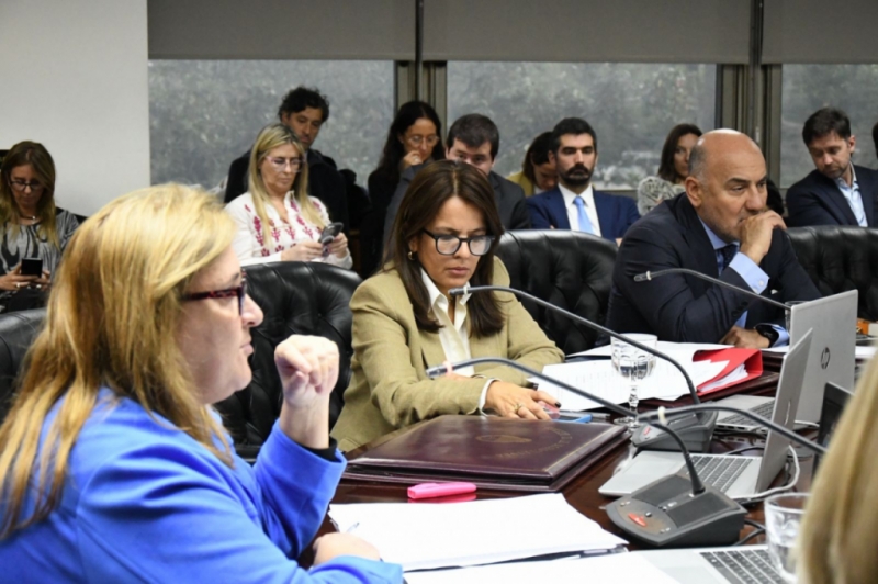 Actividad de Comisiones: Disciplina y Selección de Magistrados