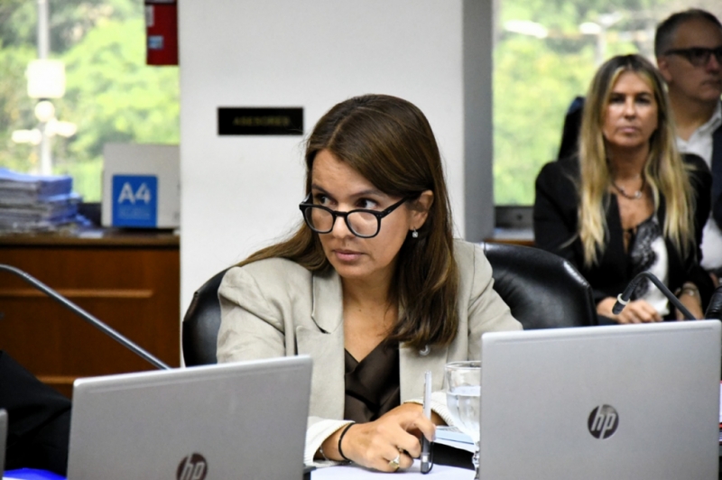 Actividad de Comisiones: Administración y Financiera y Auxiliar Permanente de Reglamentacion