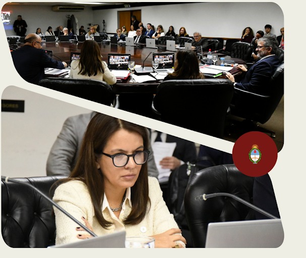 Actividad de Comisión: Disciplina