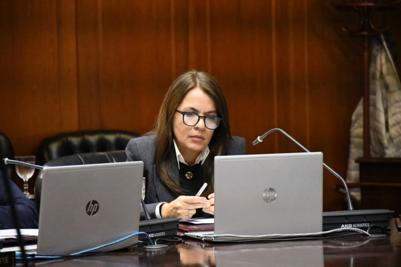 Actividad de Comisión: Entrevistas personales Concurso Nro. 514
